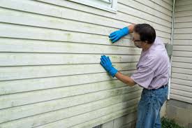 Affordable Siding Repair and Maintenance Services in Coconut Creek, FL